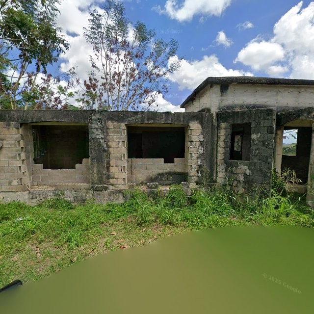 Reporte ciudadano de estorbo público en 8PMW+WM5 H. Rivera Colon, Toa Alta, Puerto Rico, Toa Alta