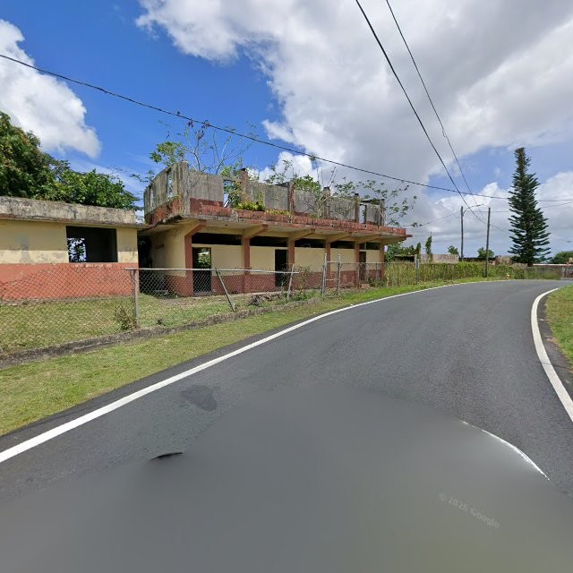 Reporte ciudadano de estorbo público en 8Q9M+9GR Naranjito, Puerto Rico, Naranjito
