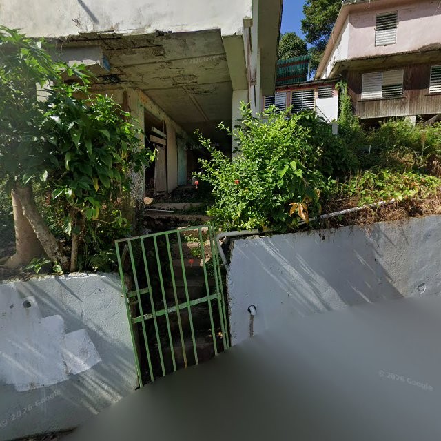 Reporte ciudadano de estorbo público en 8V6W+XXW Guaynabo, Puerto Rico, Guaynabo