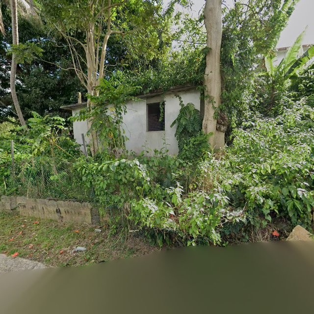 Reporte ciudadano de estorbo público en 827G+7G5 Trujillo Alto, Puerto Rico, Trujillo Alto