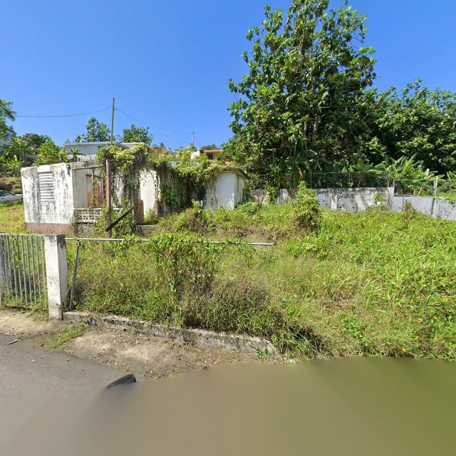 Reporte ciudadano de estorbo público en 84P4+J4X Campo Rico, Canóvanas, Puerto Rico, Canóvanas