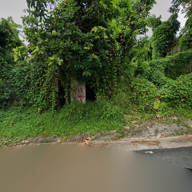 Reporte ciudadano de estorbo público en 87PJ+XM5 Ramos, Luquillo, Puerto Rico, Luquillo
