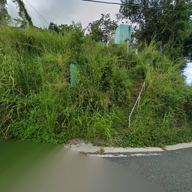 Reporte ciudadano de estorbo público en 7PPV+C2G Naranjito, Puerto Rico, Naranjito