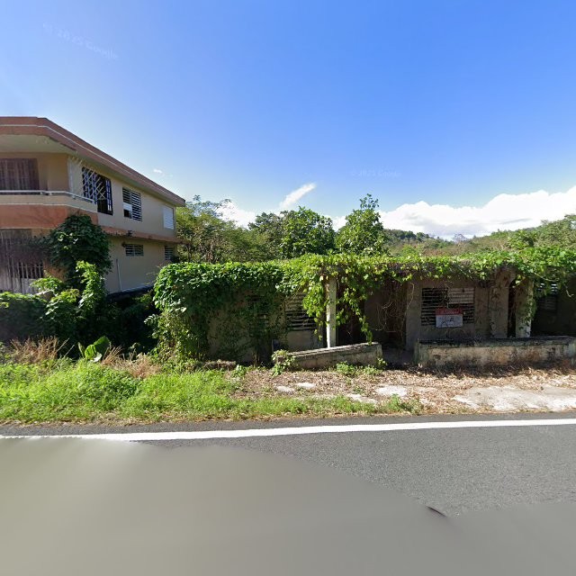 Reporte ciudadano de estorbo público en 8Q3P+5QM Naranjito, Puerto Rico, Naranjito