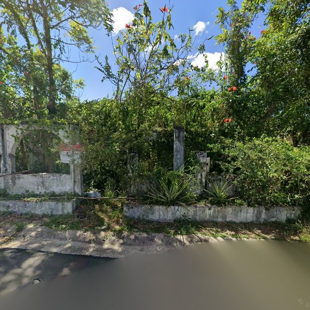 Reporte ciudadano de estorbo público en 7QWQ+3CX Naranjito, Puerto Rico, Naranjito