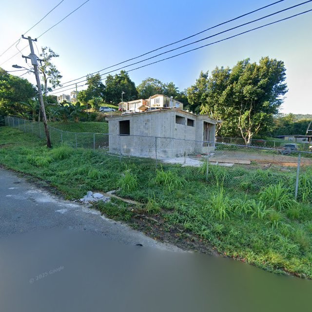 Reporte ciudadano de estorbo público en 8W2J+7CH Aguas Buenas, Puerto Rico, Aguas Buenas