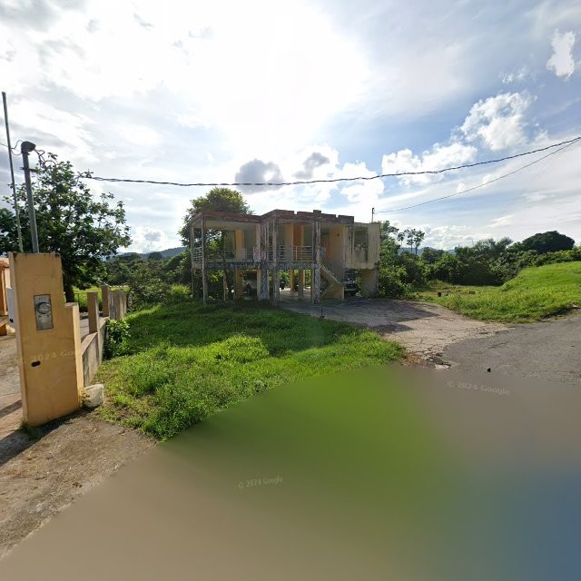 Reporte ciudadano de estorbo público en 7XMV+JMJ Gurabo, Puerto Rico, Gurabo