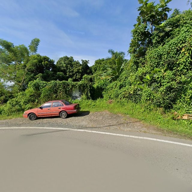 Reporte ciudadano de estorbo público en 72JH+6M9 Celada, Gurabo, Puerto Rico, Gurabo