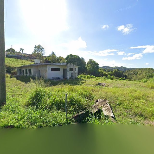 Reporte ciudadano de estorbo público en 72VM+V84 Celada, Gurabo, Puerto Rico, Gurabo