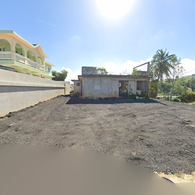 Reporte ciudadano de estorbo público en 7P7P+X2M Naranjito, Puerto Rico, Naranjito