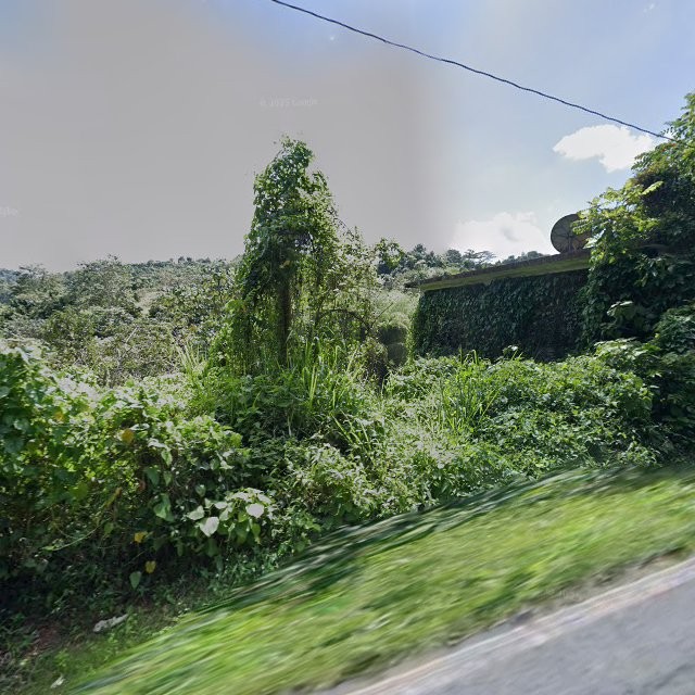 Reporte ciudadano de estorbo público en 7V86+7XR Aguas Buenas, Puerto Rico, Aguas Buenas