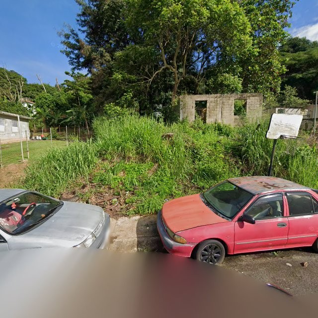 Reporte ciudadano de estorbo público en 732P+RWC Juncos, Puerto Rico, Juncos