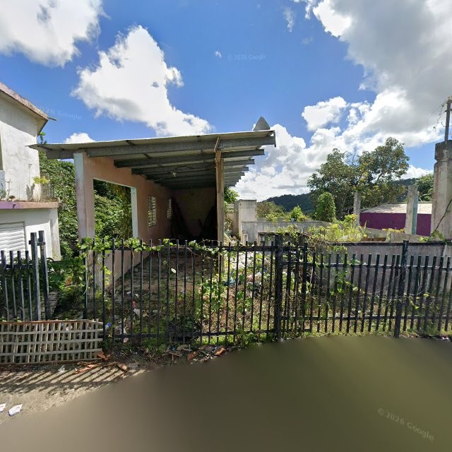 Reporte ciudadano de estorbo público en 6RQH+HH9 Bayamoncito, Aguas Buenas, Puerto Rico, Aguas Buenas