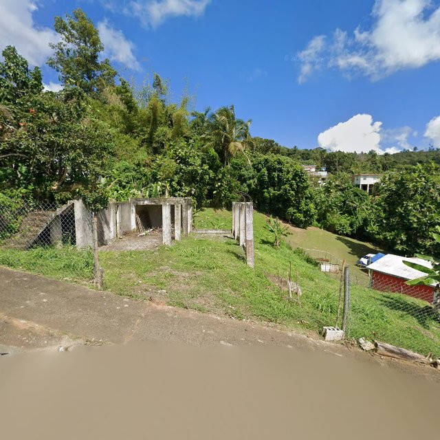 Reporte ciudadano de estorbo público en 6RQG+FV4 Bayamoncito, Aguas Buenas, Puerto Rico, Aguas Buenas