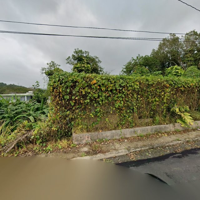 Reporte ciudadano de estorbo público en 6VWJ+RHH Aguas Buenas, Puerto Rico, Aguas Buenas