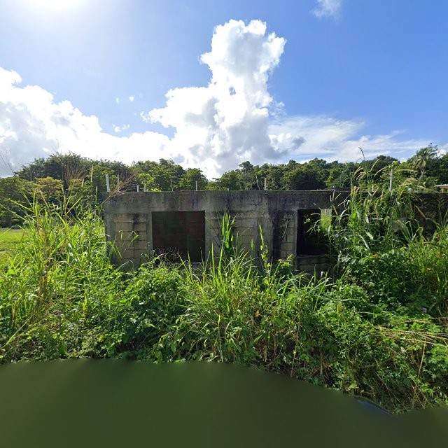 Reporte ciudadano de estorbo público en 63H5+8CV Juncos, Puerto Rico, Juncos