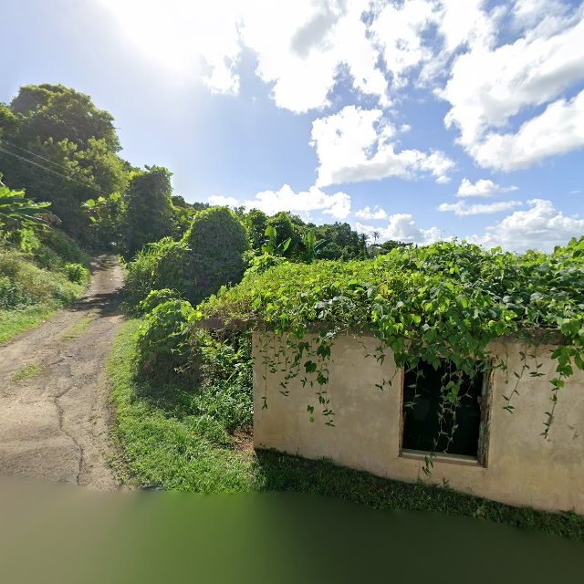 Reporte ciudadano de estorbo público en 62CJ+JCX San Lorenzo, Puerto Rico, San Lorenzo