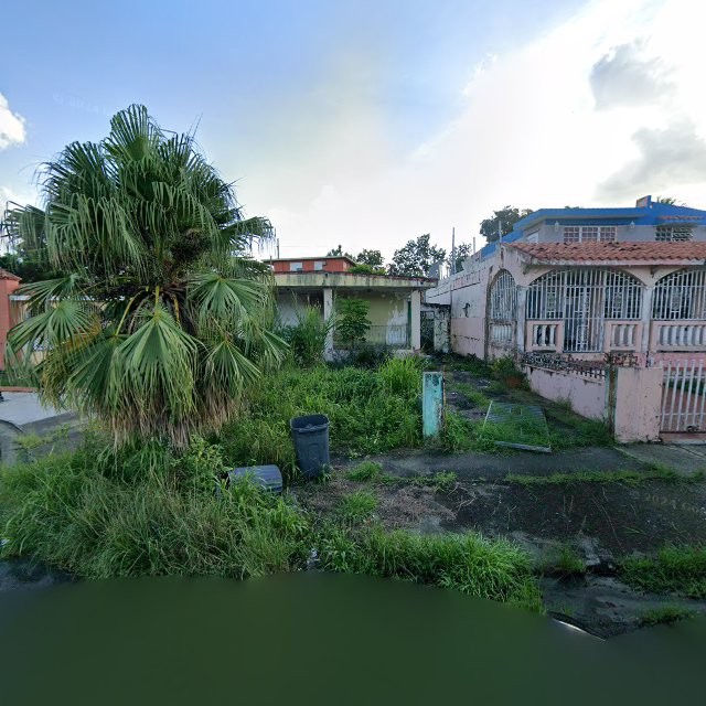 Reporte ciudadano de estorbo público en 63PH+84H Juncos, Puerto Rico, Juncos