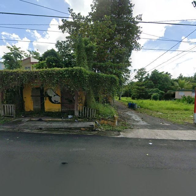 Reporte ciudadano de estorbo público en 63F7+JCF Juncos, Puerto Rico, Juncos