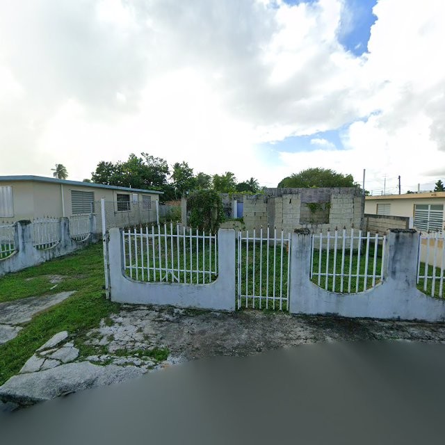 Reporte ciudadano de estorbo público en 63FR+VC5 Juncos, Puerto Rico, Juncos