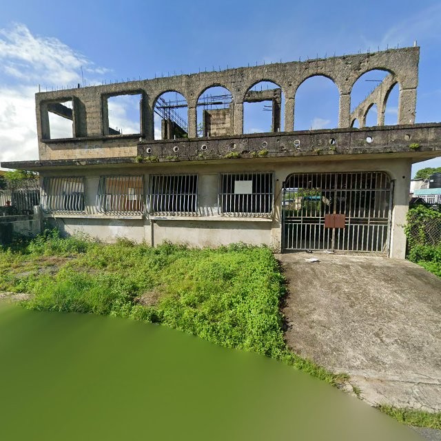 Reporte ciudadano de estorbo público en 6482+RJJ Juncos, Puerto Rico, Juncos