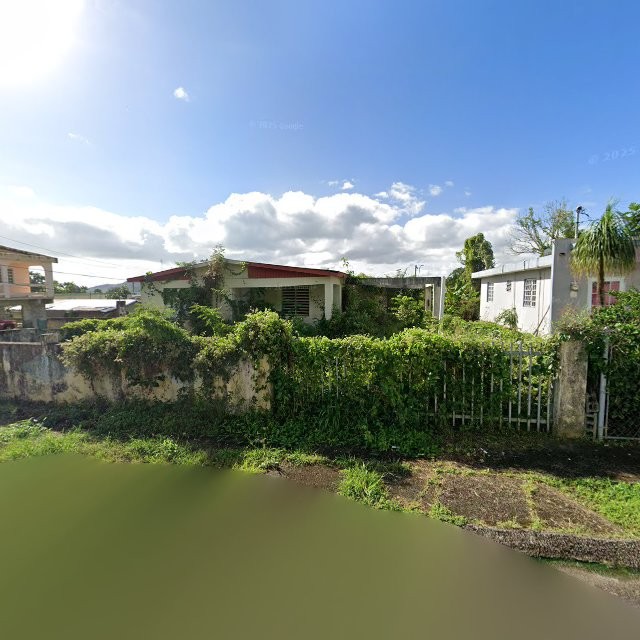 Reporte ciudadano de estorbo público en 65P5+F62 Pueblito del Río, Las Piedras, Puerto Rico, Las Piedras