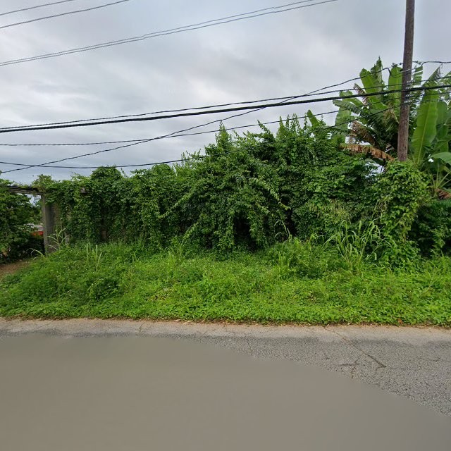 Reporte ciudadano de estorbo público en 5WQP+XXV Limón, Mayagüez, Puerto Rico, Mayagüez