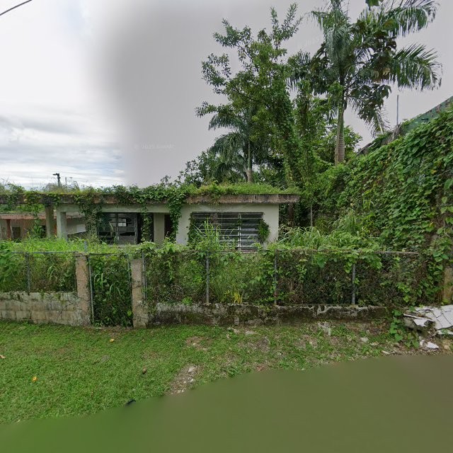 Reporte ciudadano de estorbo público en 5WRR+XCX Limón, Mayagüez, Puerto Rico, Mayagüez