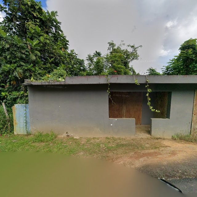 Reporte ciudadano de estorbo público en 6R7X+3MP Cidra, Puerto Rico, Cidra