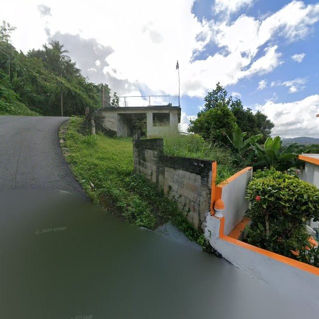 Reporte ciudadano de estorbo público en 53V2+XPC San Lorenzo, Puerto Rico, San Lorenzo