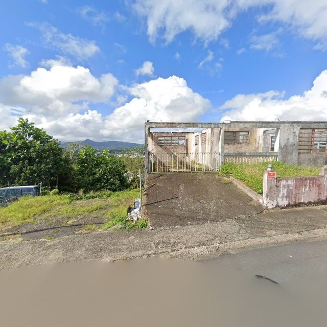 Reporte ciudadano de estorbo público en 53V2+WWP San Lorenzo, Puerto Rico, San Lorenzo