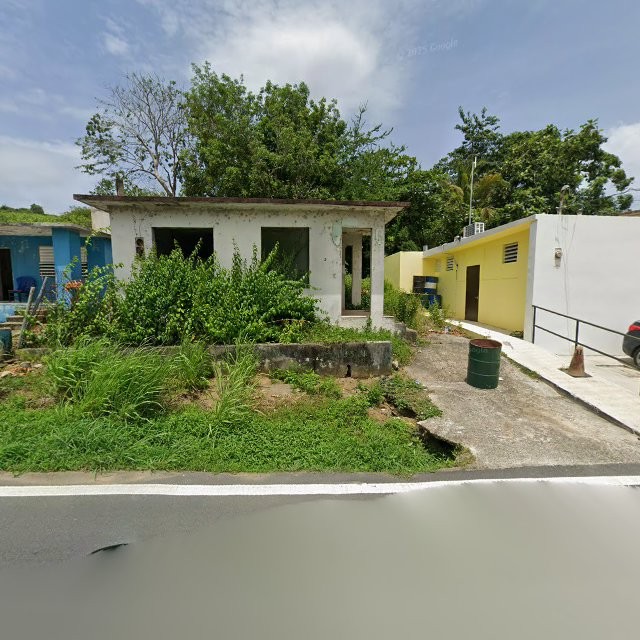 Reporte ciudadano de estorbo público en 57QQ+R4P Húcares, Naguabo, Puerto Rico, Naguabo