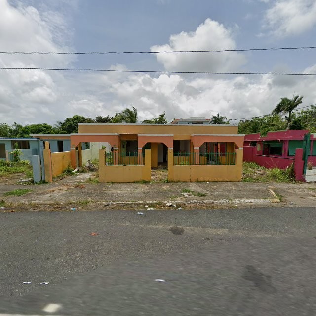 Reporte ciudadano de estorbo público en 57QF+6HM Río, Naguabo, Puerto Rico, Naguabo