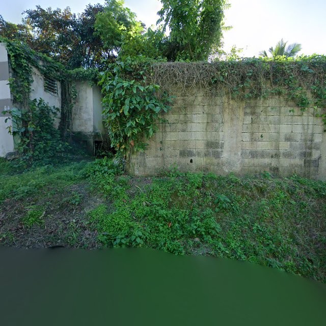 Reporte ciudadano de estorbo público en 527C+837 San Lorenzo, Puerto Rico, San Lorenzo