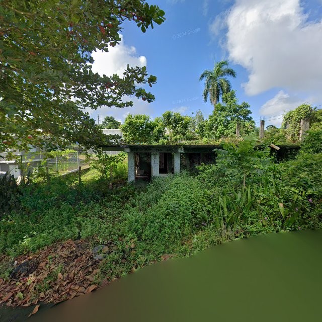 Reporte ciudadano de estorbo público en 53MF+558 Juncos, Puerto Rico, Juncos