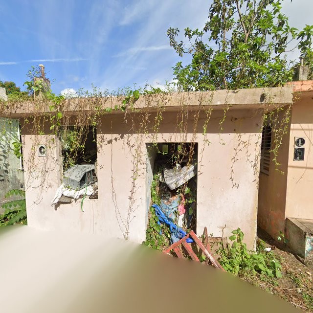 Reporte ciudadano de estorbo público en 54MP+49V Las Piedras, Puerto Rico, Las Piedras