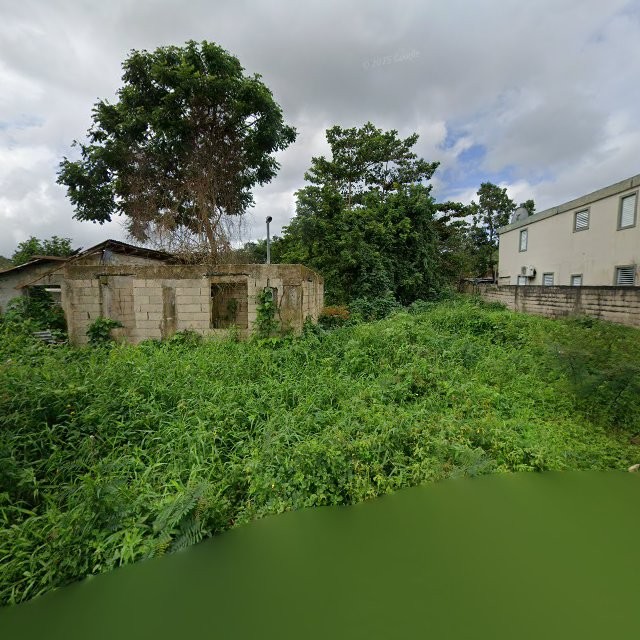 Reporte ciudadano de estorbo público en 55MR+WGJ Antón Ruíz, Humacao, Puerto Rico, Humacao