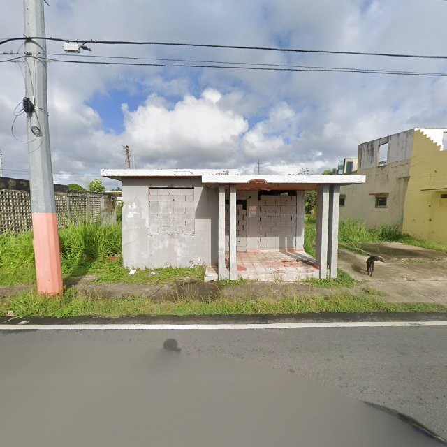 Reporte ciudadano de estorbo público en 5784+C9H Punta Santiago, Humacao, Puerto Rico, Humacao