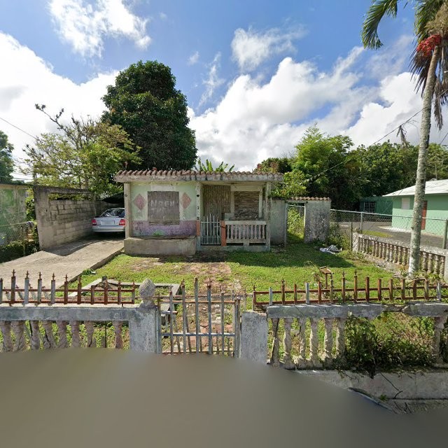 Reporte ciudadano de estorbo público en 4PVF+5V2 Aibonito, Puerto Rico, Aibonito