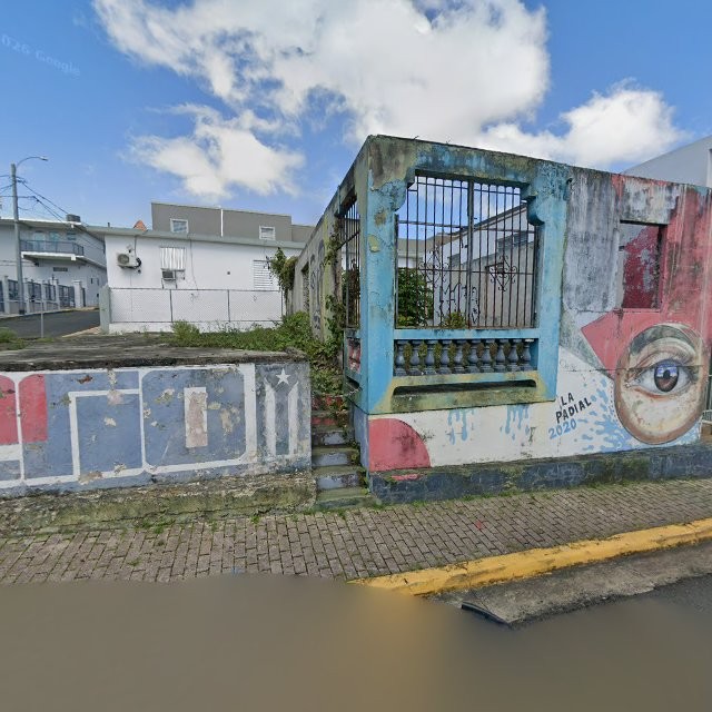 Reporte ciudadano de estorbo público en 4PQM+MQ9 Aibonito, Puerto Rico, Aibonito