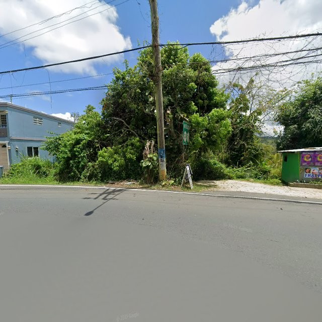 Reporte ciudadano de estorbo público en 4PPH+XG3 Aibonito, Puerto Rico, Aibonito