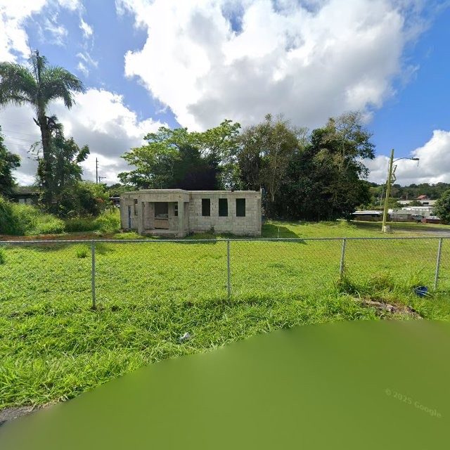 Reporte ciudadano de estorbo público en 4PJ7+V8J Aibonito, Puerto Rico, Aibonito