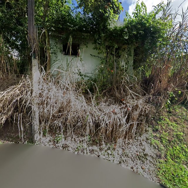 Reporte ciudadano de estorbo público en 4RPJ+HP4 Parcelas Nuevas, Cidra, Puerto Rico, Cidra