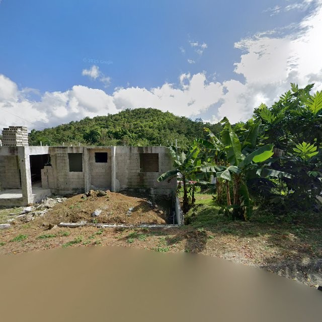 Reporte ciudadano de estorbo público en 4RGF+RJ3 Cayey, Puerto Rico, Cayey