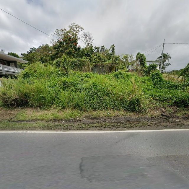 Reporte ciudadano de estorbo público en 5V2W+X4P Bayamón, Cidra, Puerto Rico, Cidra