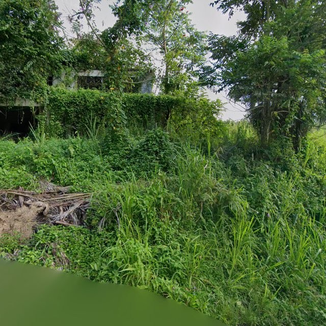 Reporte ciudadano de estorbo público en 4VWQ+XP6 Bayamón, Cidra, Puerto Rico, Cidra