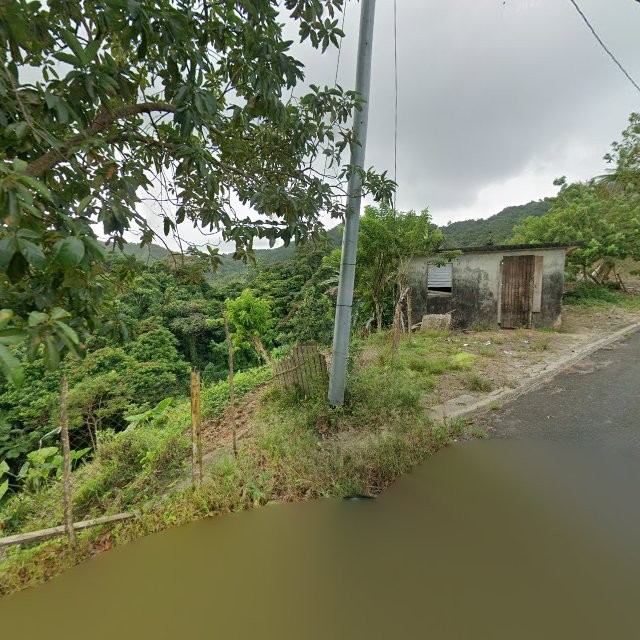 Reporte ciudadano de estorbo público en 4XQP+XMQ San Lorenzo, Puerto Rico, San Lorenzo