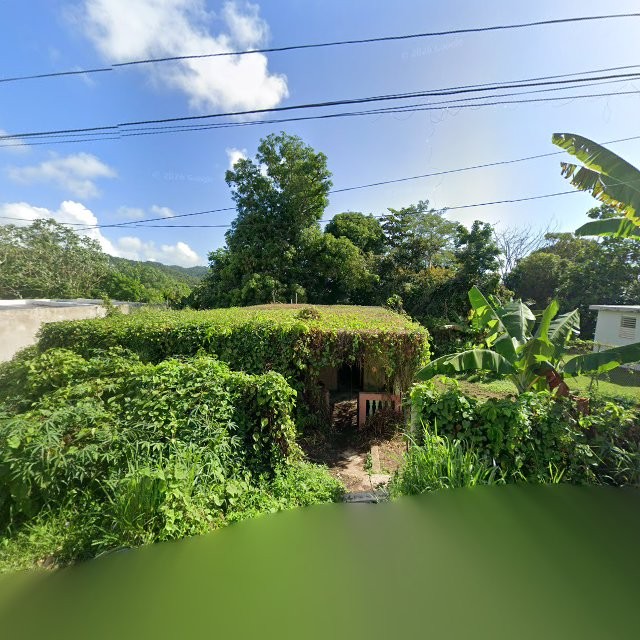 Foto de reporte ciudadano en Humacao