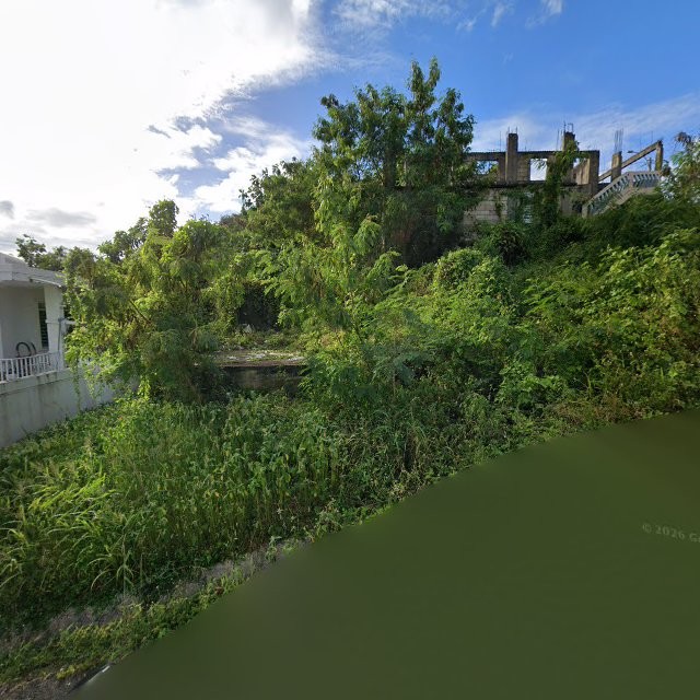 Reporte ciudadano de estorbo público en 45WW+545 Humacao, Puerto Rico, Humacao