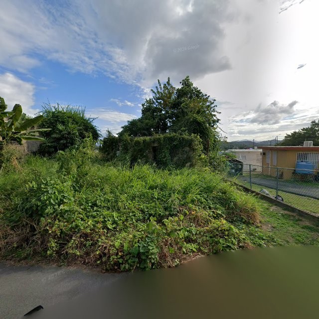 Reporte ciudadano de estorbo público en 45WW+534 Humacao, Puerto Rico, Humacao